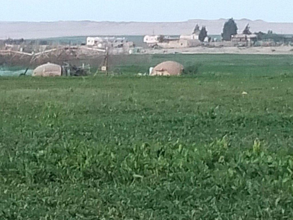 Landscape Management